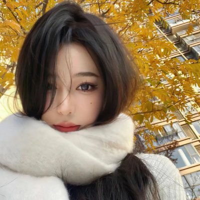 境界战机第二季