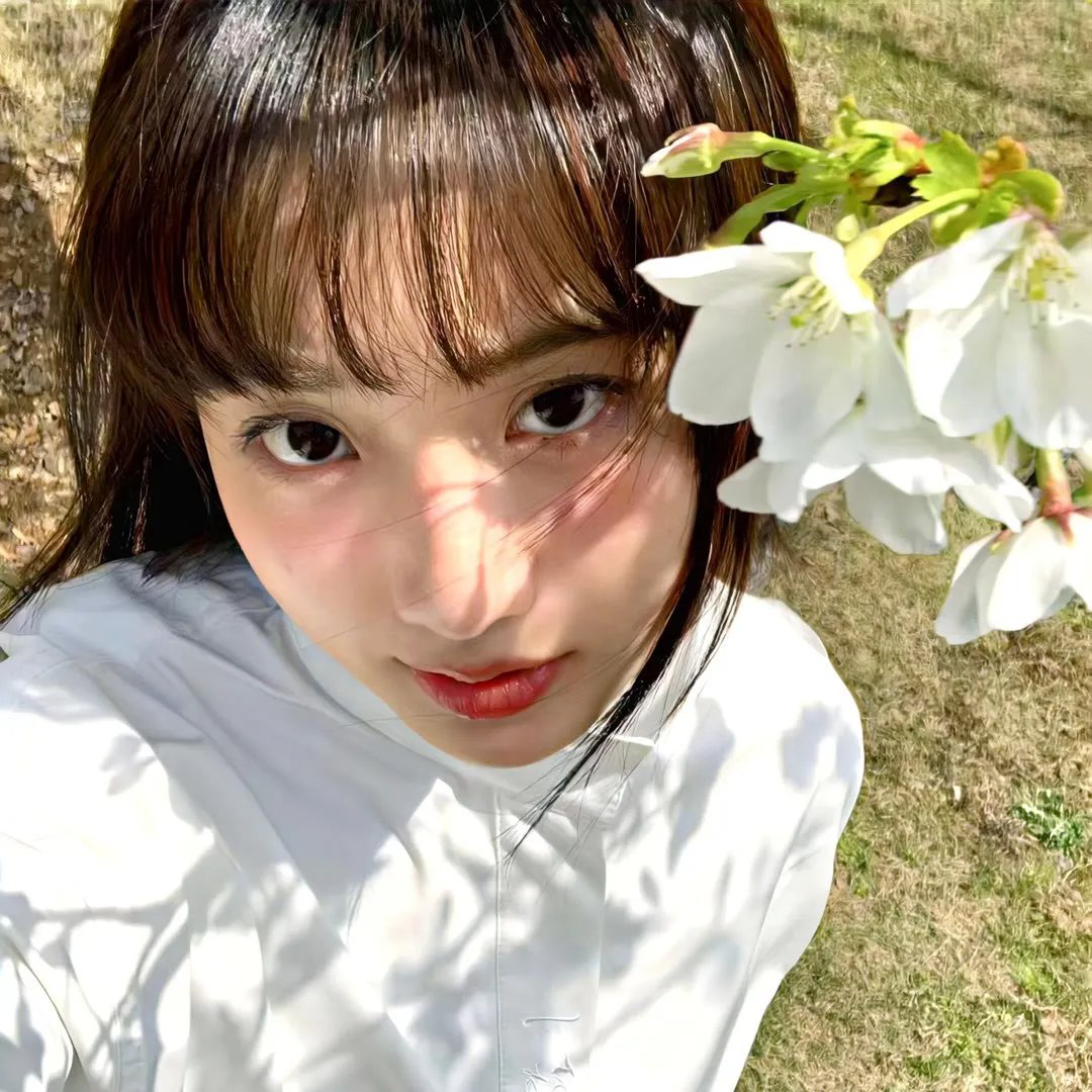 鲭鱼罐头
